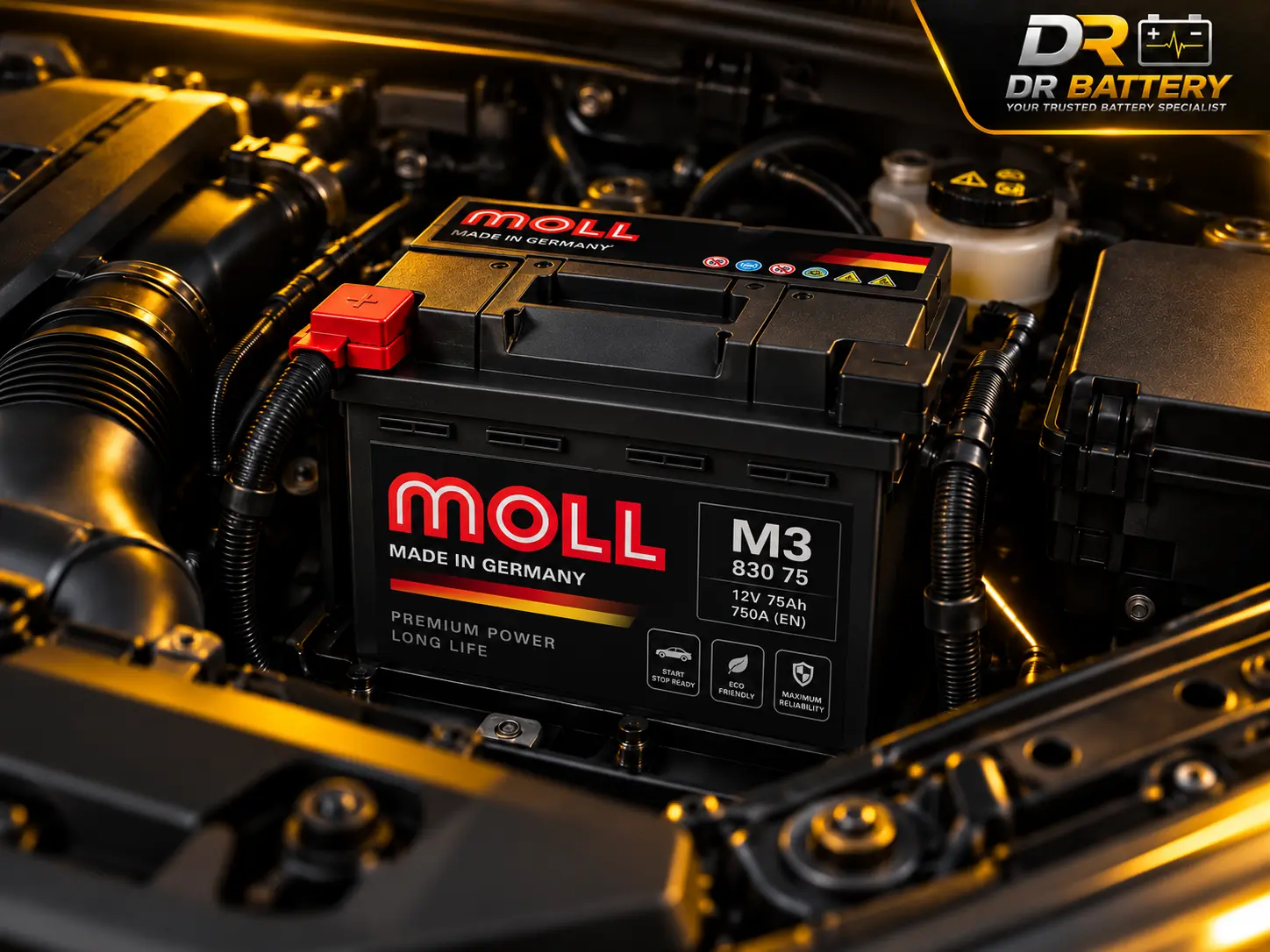 MOLL automotive replacement battery